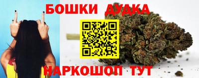 стаф Будённовск