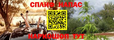 стаф Будённовск