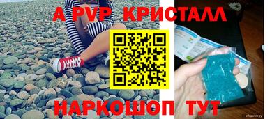 стаф Будённовск