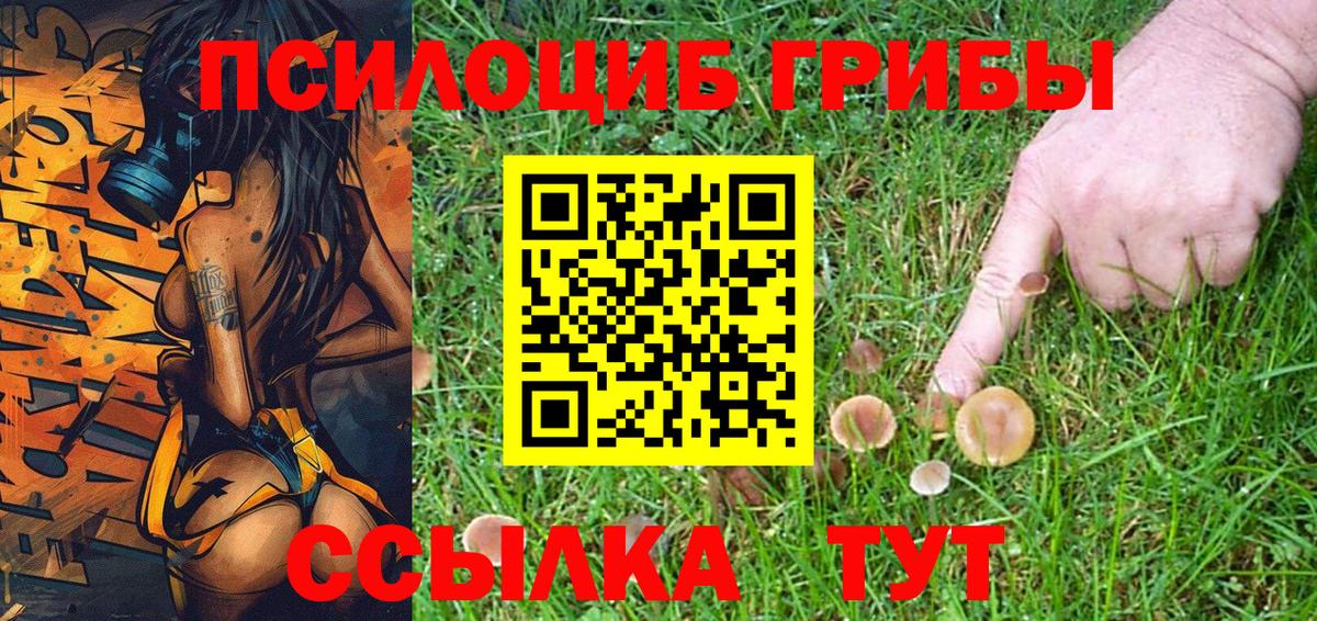 Галлюциногенные грибы GOLDEN TEACHER  Вход с VPN  Смоленск 